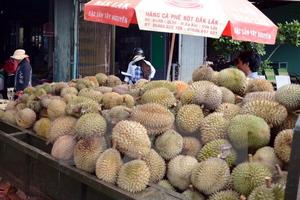 Lần đầu tiên tôn vinh Thương hiệu vàng nông nghiệp Việt Nam