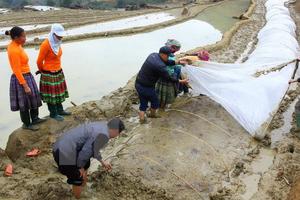 Không khí lạnh tràn về, Bắc Bộ trời rét, vùng núi xuống 11 độ C