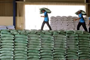 50.000 tấn gạo từ Việt Nam và Thái Lan sẽ cập cảng Indonesia