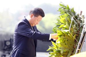 Khoảnh khắc thành kính của Chủ tịch TQ trước Lăng Bác