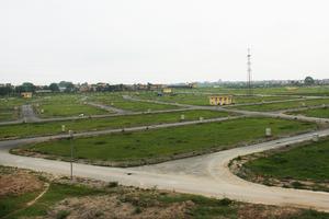 Lập Hội đồng thẩm định điều chỉnh quy hoạch sử dụng đất cấp quốc gia