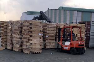 TP. HCM: Phát hiện 6 container gỗ xẻ xuất lậu trị giá 3 tỷ đồng