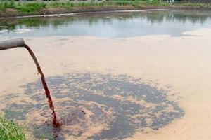 Thanh tra, xử lý các cơ sở gây ô nhiễm môi trường 