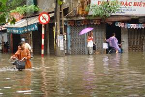 Triển lãm "60 giải pháp ứng phó với biến đổi khí hậu"