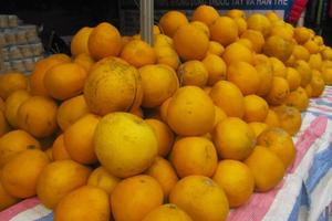 CPI 11 tháng năm 2015 tăng 0,64% so với cùng kỳ