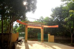 Nhiều giáo viên bị sa thải vì đánh bạc