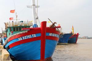 Đào tạo thuyền viên… chui