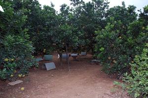 Giao thầu trái luật, dồn thừa 10.223m2 đất