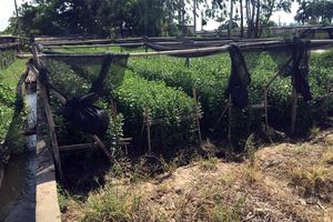 Thu hồi gấp hơn 560 triệu đồng bồi thường “nhầm”