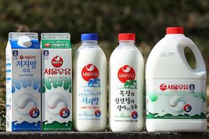 Tham nhũng bủa vây ngành sữa Hàn Quốc