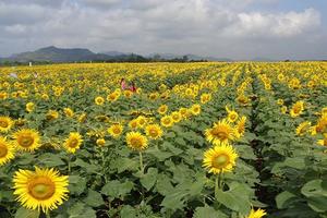 Nhiều lựa chọn, trải nghiệm mới cho giới trẻ