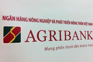 Agribank chung tay cùng cả nước xây dựng nông thôn mới