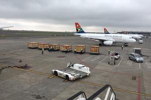 Vinpearl Safari Phú Quốc đón thêm 200 thú “cưỡi” chuyên cơ về từ Châu Phi