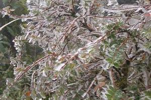 Miền Bắc rét nhất từ đầu đông