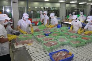 Mỹ áp quy định giám sát cá tra Việt Nam là trái nguyên tắc của WTO