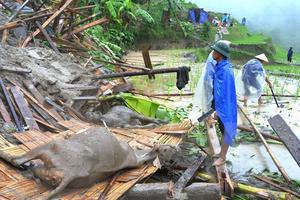 Việt Nam đứng thứ 7 trên toàn cầu về thiệt hại do biến đổi khí hậu