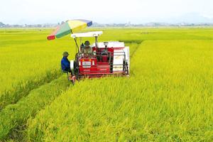 Huyện Lâm Thao đạt chuẩn nông thôn mới 