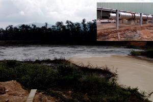 Nhà máy chế biến tinh bột sắn Như Xuân – Thanh Hóa: Đầu độc môi trường bằng chất thải độc hại