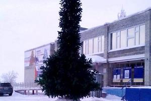 Đỏ mặt với cây thông Noel có hình… 'nhạy cảm'