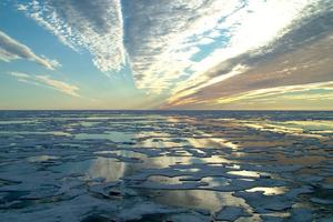 Hiện tượng El Nino gần đạt mức cao nhất trong 50 năm qua