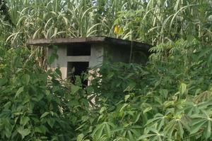 Hệ thống nước sạch hàng trăm triệu đồng bị bỏ hoang