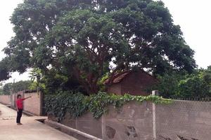 Người tố cáo bị đe dọa