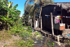 Vì sao không cho người dân xây tường rào?