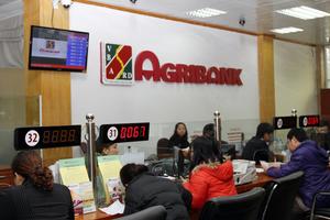 Agribank năm 2016: “Chắt chiu thành tựu, vững bước tương lai”