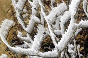 Nhiệt độ miền Bắc xuống rất thấp, vùng núi có khả năng mưa tuyết