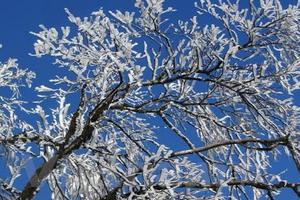 Bắc Bộ có khả năng xảy ra băng giá và xuất hiện mưa tuyết