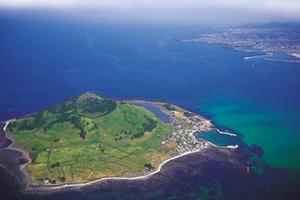 Tìm thấy thêm 9 người Việt trong nhóm mất tích ở Jeju
