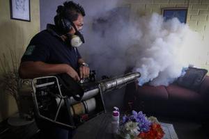Virus Zika lây lan sang châu Phi và châu Đại Dương