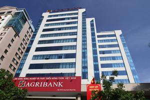 Agribank: Đứng đầu hệ thống Ngân hàng thương mại Việt Nam