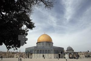 Jordan lập ủy ban thanh tra vi phạm của Israel tại Núi Đền