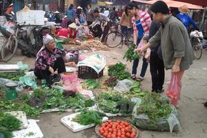 Hà Nội: Rau xanh tăng giá gấp 3, khách hàng vẫn tranh nhau mua