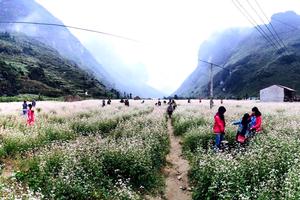 Trải nghiệm tour du lịch mùa đông hấp dẫn du khách