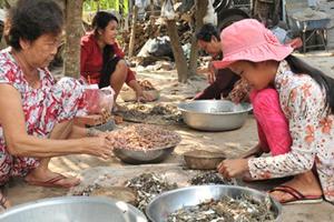 Cận Tết, giá 'vũ nữ chân dài' tăng chóng mặt vẫn hút hàng