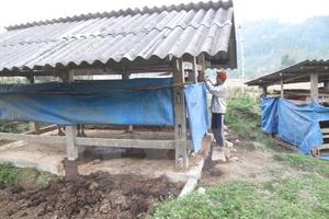 Miền Bắc chìm trong giá rét, Hà Nội có thể xuống dưới 10 độ C