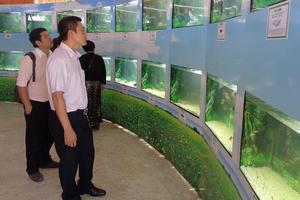 Phấn đấu đón 3,5 triệu lượt khách vào năm 2020