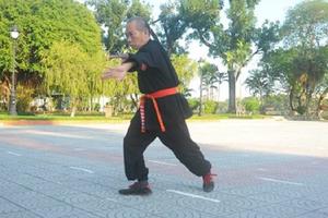 Năm Thân bàn chuyện võ Khỉ