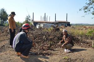 Hàng chục hécta rẫy bị lò đốt than “nuốt chửng”