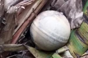 Vật thể lạ rơi xuống Yên Bái, Tuyên Quang sau tiếng nổ lớn