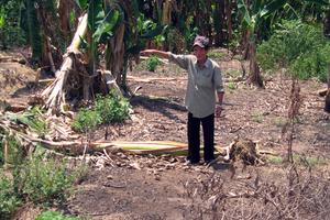 Quảng Ngãi: Đã di dời 46 hài cốt giả