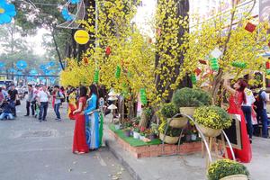 Nhộn nhịp phố ông đồ ngày giáp Tết