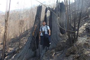 Cáp treo Fan và câu chuyện 'kho báu' trong đại ngàn Hoàng Liên Sơn 