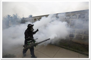 Phát hiện bất ngờ về virus Zika 