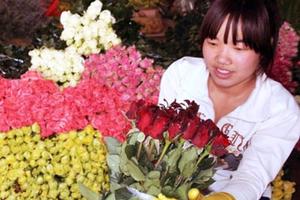  "Cháy" hoa hồng ngày lễ Tình nhân