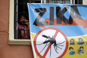 Virus Zika: Nỗi bất an của toàn thế giới