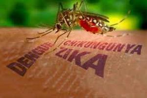 Chủ động phòng, chống dịch bệnh do vi rút Zika