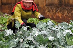 Các tỉnh miền Bắc rét đậm, vùng núi có nơi dưới 10 độ C